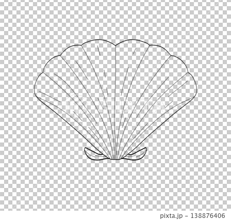 Hand drawn scallop seashell line art illustration on a transparent background Hand drawn scallop seashell line art illustration on a transparent background 138876406