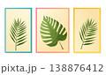 Tropical leaves vector illustration set with framed botanical elements 138876412