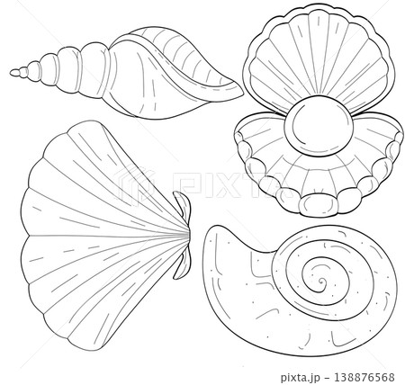 Elegant hand drawn seashell line art set with pearl oyster and fan shell on a transparent background 138876568
