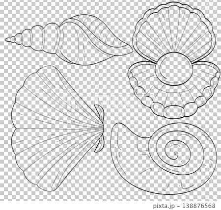 Elegant hand drawn seashell line art set with pearl oyster and fan shell on a transparent background 138876568