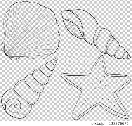 Sea shell line art collection featuring scallop auger snail and starfish on a transparent background Sea shell line art collection featuring scallop auger snail and starfish on a transparent background 138876673