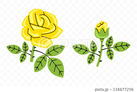 Yellow rose, flower, bloom and blossom, graphic design. Floral, blooming, plant, nature and garden, vector design and illustration Yellow rose, flower, bloom and blossom, graphic design. Floral, blooming, plant, nature and garden, vector design and illustration 138877256