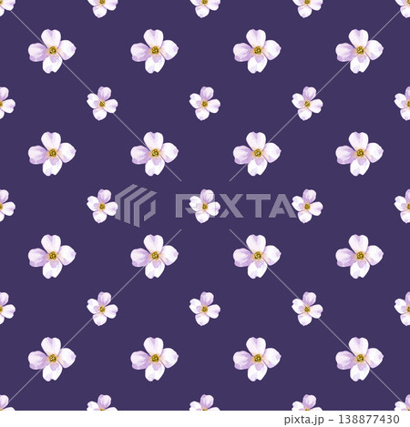 Seamless watercolor pattern with small white flowers on a dark purple background. 138877430