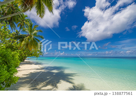 Idyllic tropical beach scene vertical composition palm trees crystal clear turquoise water white sand summer vacation paradise natural landscape serene dream travel destination close-up coastline beau Idyllic tropical beach scene vertical composition palm trees crystal clear turquoise water white sand summer vacation paradise natural landscape serene dream travel destination close-up coastline beau 138877561