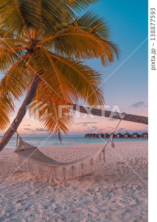 Stunning tropical beach sunset hammock dreamy meditation outdoors summer majestic travel destination wallpaper nature paradise escape breathtaking landscape 138877593