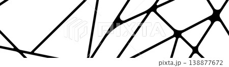 Abstract geometric Voronoi background, black and white polygonal line art pattern, vector minimalist mosaic texture. 138877672