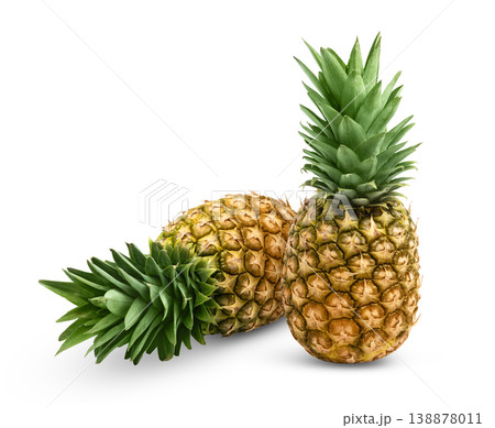 Two ripe pineapples isolated. Juicy whole pineapple with clipping path. Two ripe pineapples isolated. Juicy whole pineapple with clipping path. 138878011