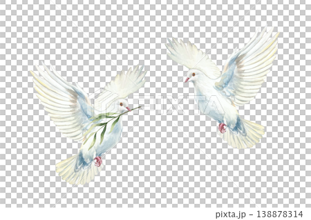 Two flying white doves. Symbol of purity, hope and faith. Hand drawn watercolor illustration, isolated. Suitable for designing cards and invitations for First Communion, Baptism and Easter. 138878314