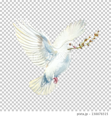 White flying dove with a willow branch in its beak. Hand drawn watercolor religious illustration isolated for card and invitation design for Easter, Palm Sunday, First Communion and Baptism. 138878315