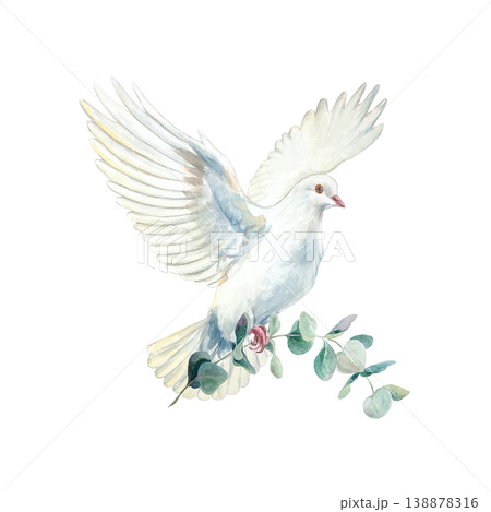 Flying white dove with a green eucalyptus branch. Purity and faith. Hand drawn watercolor illustration, isolated. For designing cards and invitations for first communions, baptisms and weddings. Flying white dove with a green eucalyptus branch. Purity and faith. Hand drawn watercolor illustration, isolated. For designing cards and invitations for first communions, baptisms and weddings. 138878316