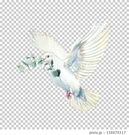 Flying white dove with a green eucalyptus branch in its beak. Hand drawn watercolor illustration, isolated. Suitable for designing cards and invitations for first communions, baptisms and weddings. Flying white dove with a green eucalyptus branch in its beak. Hand drawn watercolor illustration, isolated. Suitable for designing cards and invitations for first communions, baptisms and weddings. 138878317