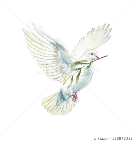 Flying white dove with a green branch. Symbol of purity, hope and faith. Hand drawn watercolor illustration, isolated. For designing cards and invitations for first communion, baptism and weddings. 138878318