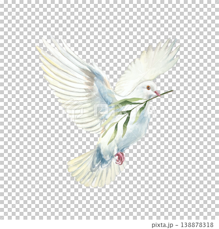 Flying white dove with a green branch. Symbol of purity, hope and faith. Hand drawn watercolor illustration, isolated. For designing cards and invitations for first communion, baptism and weddings. 138878318