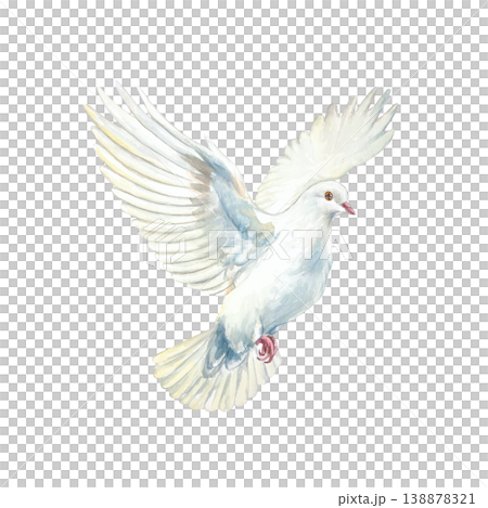 Flying white dove. Symbol of purity, hope and faith. Hand drawn watercolor illustration of the bird, isolated. Suitable for designing cards and invitations for First Communion, Baptism and Easter. 138878321