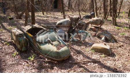 Two Rusting Sidecars Among Trees, Peeling Paint And Collapsed Frames Resting On Leaf Litter, Moss And Saplings Two Rusting Sidecars Among Trees, Peeling Paint And Collapsed Frames Resting On Leaf Litter, Moss And Saplings 138878392
