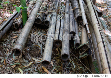 Pile of Dry Bamboo Stalks on Ground 138878616