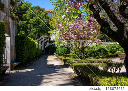 Serene garden path, pink blossoms, green hedges, spring sunlight, peaceful nature scene 138878683