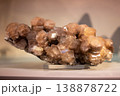 Museum Display Case with Assorted Natural Mineral Samples 138878722