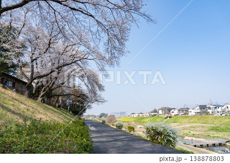 利根運河の春(千葉県流山市) 利根運河の春(千葉県流山市) 138878803