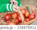 Farm tomatoes in a wicker basket. The child holds a wicker basket with tomatoes and cucumber in his hands 138878912