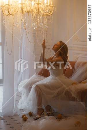 Refined Marriage Attire Characterized By Plush Adornments And Shimmering Illumination Refined Marriage Attire Characterized By Plush Adornments And Shimmering Illumination 138878987