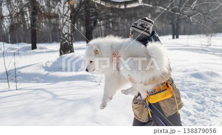 Young woman walking with fluffy samoyed dog in snowy winter park. Young woman walking with fluffy samoyed dog in snowy winter park. 138879056