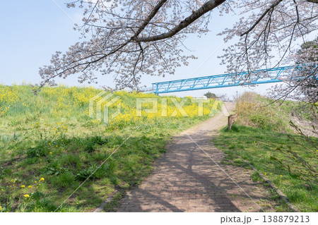におどり公園の春＜千葉県流山市＞ 138879213