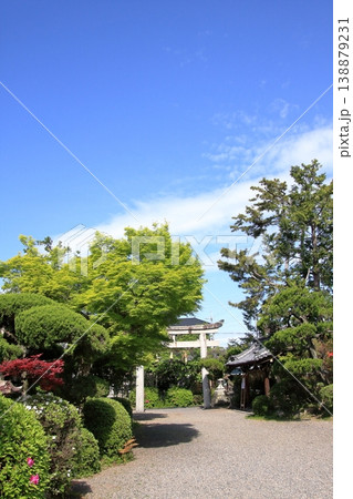 滋賀県草津市 藤の名所 三大神社 惣社神社 志那神社 滋賀県草津市 藤の名所 三大神社 惣社神社 志那神社 138879231
