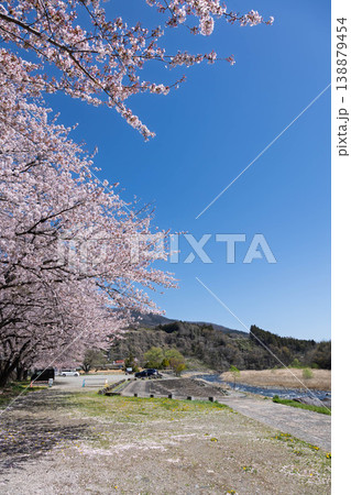 春の小野上温泉公園 春の小野上温泉公園 138879454