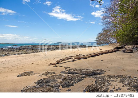 Driftwood on sandy beach Santa Catalina Panama Driftwood on sandy beach Santa Catalina Panama 138879482