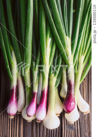 Vertical composition of spring onions with long green leaves 138880110