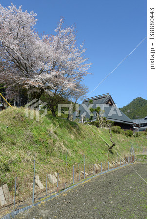 春の京都大原 京都市左京区 春の京都大原 京都市左京区 138880443