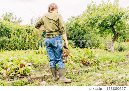 Elder woman standing in backyard garden, holding freshly picked onions and a trowel, enjoying sustainable farming. A conscious green lifestyle, growing food with your own hands on the ground Elder woman standing in backyard garden, holding freshly picked onions and a trowel, enjoying sustainable farming. A conscious green lifestyle, growing food with your own hands on the ground 138880627