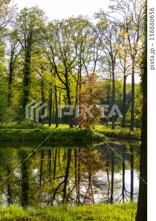 Breathing fresh air in the sunshine during a walk in a forest in Doetinchem, the Achterhoek, in the Netherlands. 138880656