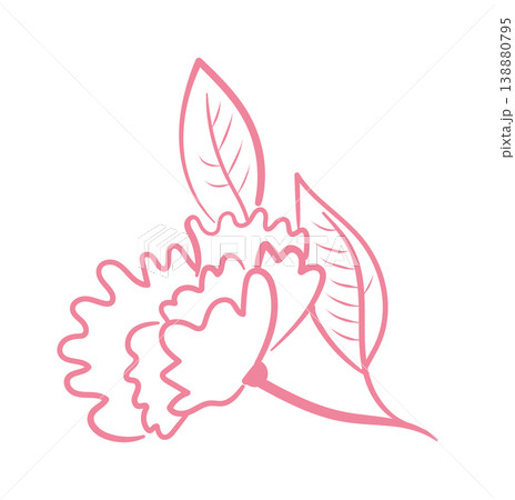 Carnation With Leaves Line Art 138880795