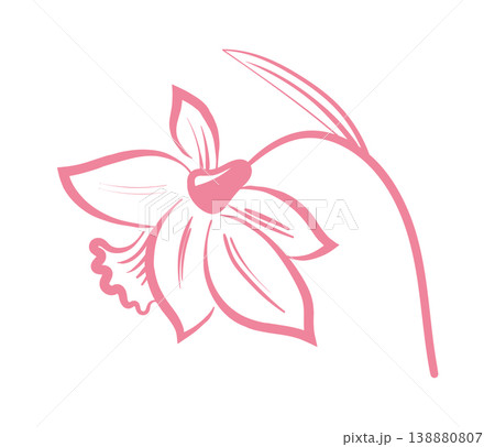 Orchid Bloom Line Art Orchid Bloom Line Art 138880807