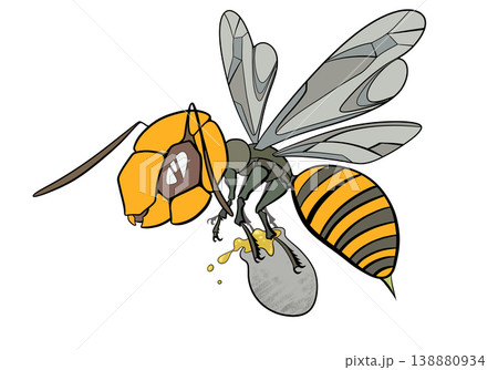 蜂 138880934