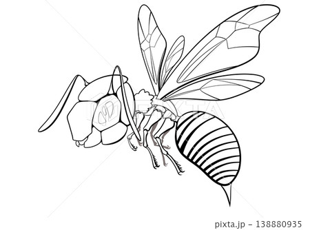 蜂 138880935