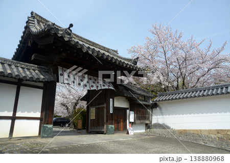 春の観修寺 山門 京都市山科区勧修寺仁王堂町 春の観修寺 山門 京都市山科区勧修寺仁王堂町 138880968