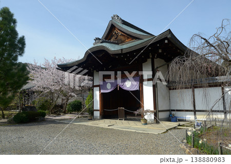春の観修寺 玄関 京都市山科区勧修寺仁王堂町 春の観修寺 玄関 京都市山科区勧修寺仁王堂町 138880983