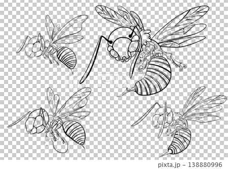 bee s 138880996