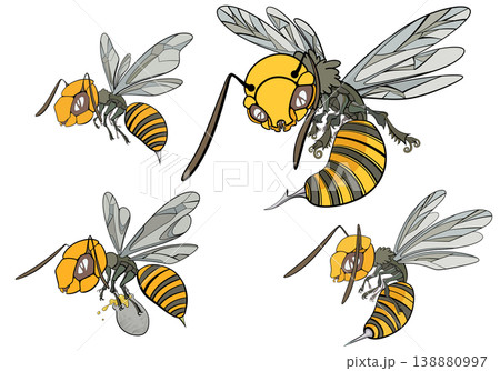 蜂 s 138880997