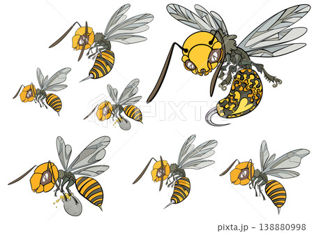 蜂 s 138880998