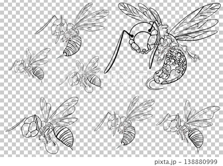 bee s 138880999