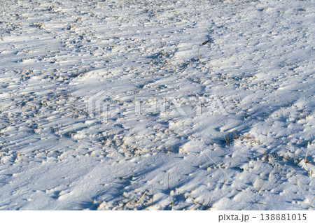 強い風が吹く雪面の素材 d-2 寒色 強い風が吹く雪面の素材 d-2 寒色 138881015
