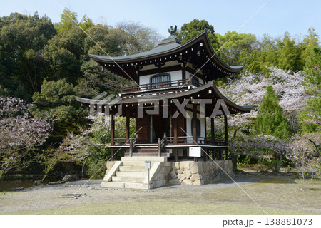 春の観修寺　観音堂　京都市山科区勧修寺仁王堂町 138881073