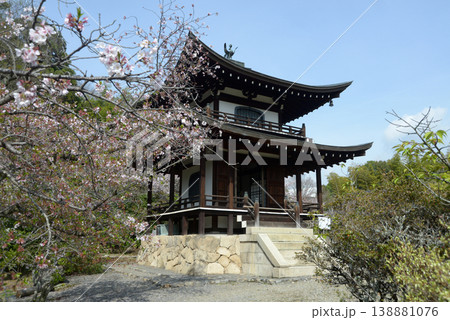 春の観修寺 観音堂 京都市山科区勧修寺仁王堂町 春の観修寺 観音堂 京都市山科区勧修寺仁王堂町 138881076