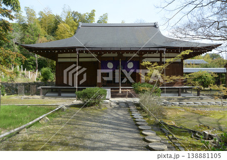 春の観修寺 本堂 京都市山科区勧修寺仁王堂町 春の観修寺 本堂 京都市山科区勧修寺仁王堂町 138881105