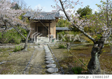 春の観修寺 五大堂 京都市山科区勧修寺仁王堂町 春の観修寺 五大堂 京都市山科区勧修寺仁王堂町 138881107