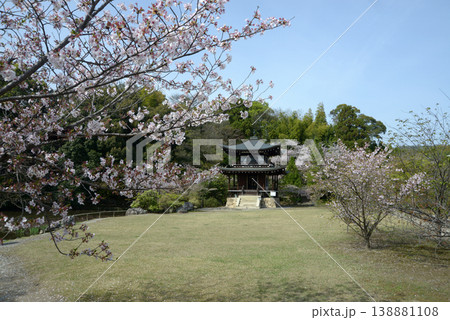 春の観修寺　観音堂　京都市山科区勧修寺仁王堂町 138881108